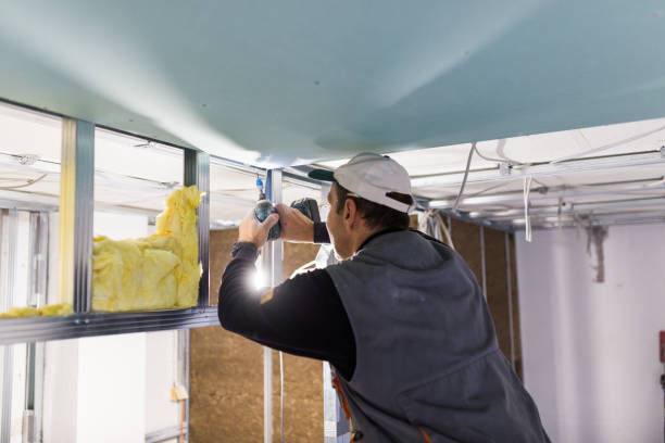 Best Residential Insulation Services  in Ocean Springs, MS