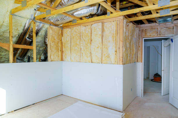 Best Affordable Insulation Services  in Ocean Springs, MS