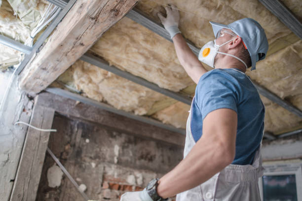 Best Energy-efficient Insulation  in Ocean Springs, MS
