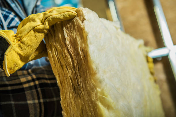 Best Best Insulation Companies  in Ocean Springs, MS