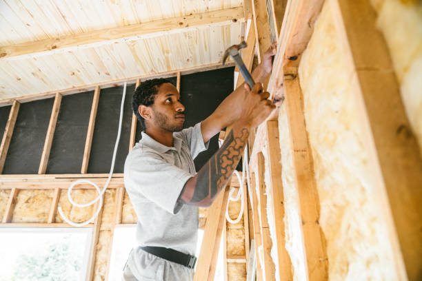 Best Crawl Space Insulation  in Ocean Springs, MS