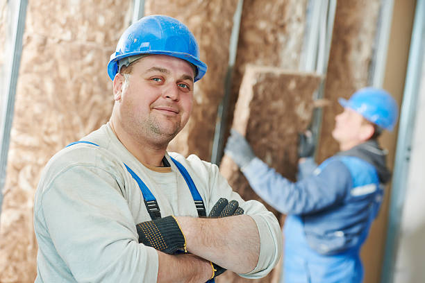 Best Insulation Contractor Near Me  in Ocean Springs, MS