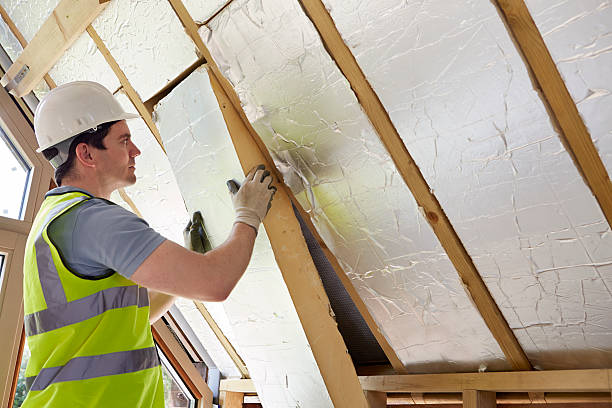 Best Insulation Contractors for Homes  in Ocean Springs, MS