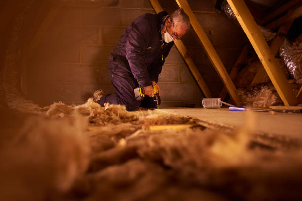 Best Insulation Replacement Services  in Ocean Springs, MS